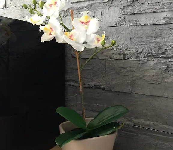 Lägenhet Na Ogrodach *