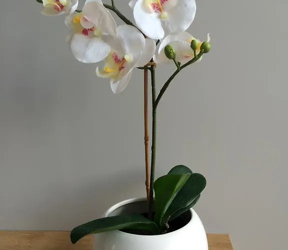 Na Ogrodach * Poznan